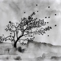 Eiland-Wind